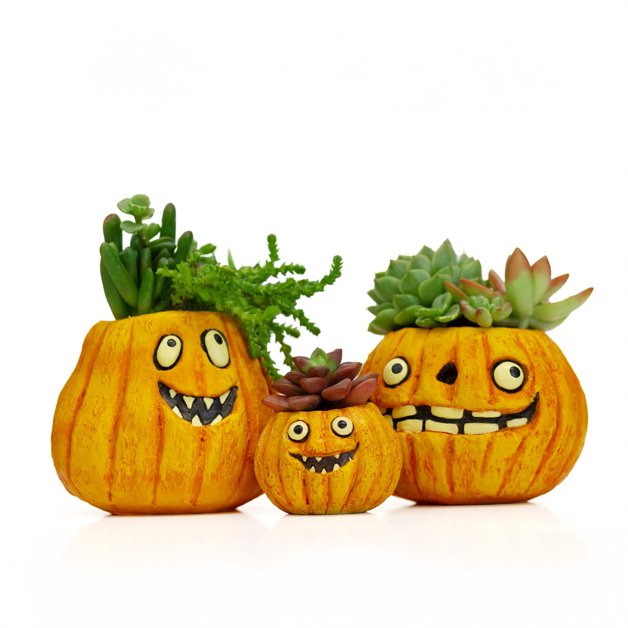 Cohasset Gifts and Garden — Halloween